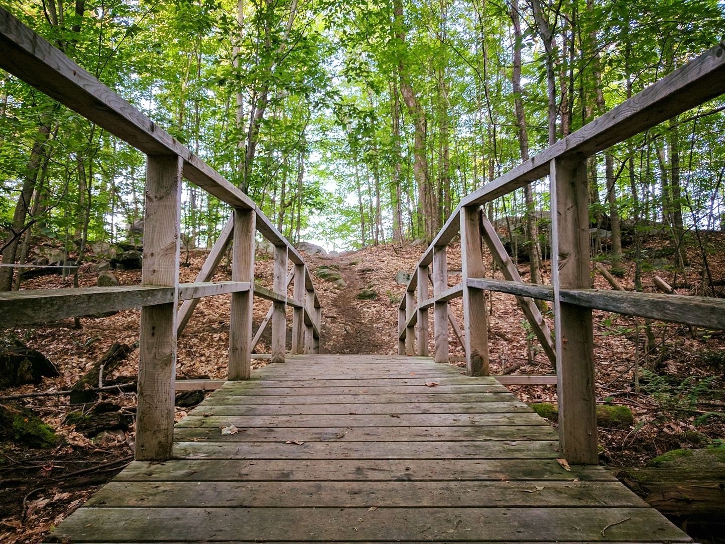 A wooden bridge in the forest near the Dhamma Suttama meditation center in Montebello, Québec.